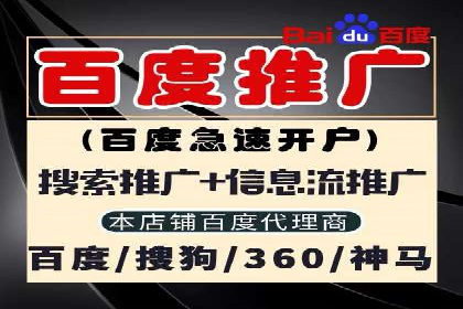 行业领先企业的关键词竞价排名实战案例